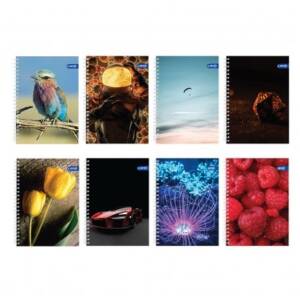 Тетрадка A5 спирала UV Basic, 60 л.ред