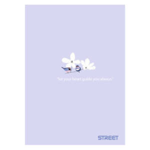 Папка с ластик Street A4, PP