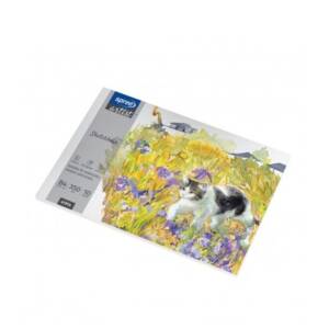 Скицник 350х250 мм B4, 350 г/м2, 10 л, за акварел, темперни и акрилни бои